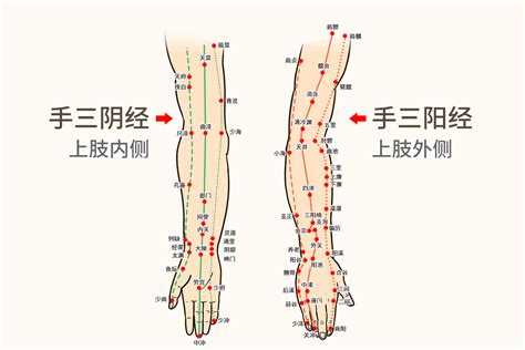 按摩五行|每条经络五个穴位“简单实用”让五脏六腑不生病